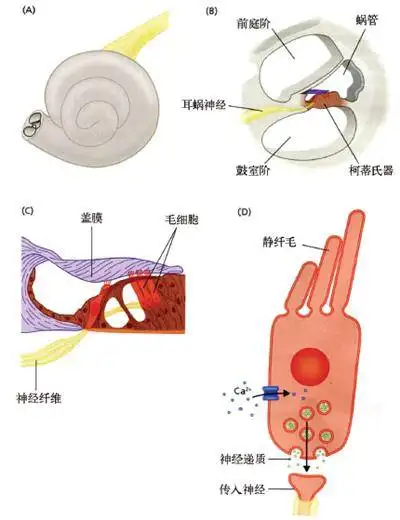 4f2ed87dcacc4a8fa1746a8b3f6cf983.png
