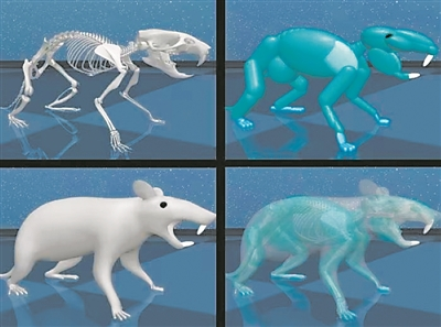 5b358a083b5d49cea58064a71fb439a5.png