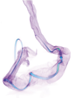 e57c50b620c642df87bda88399b01ab2.png