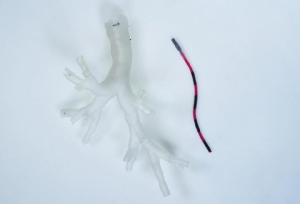 e7434b4424984f6d91cae964a04c9f54.png