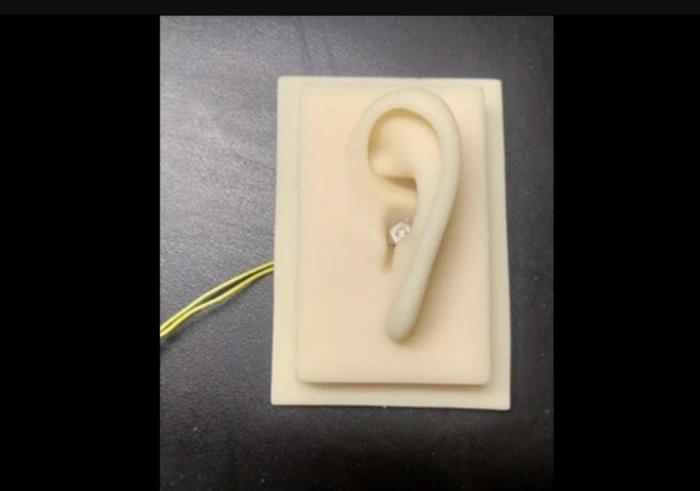 ef779227042547cfaf2d302114522a3d.png