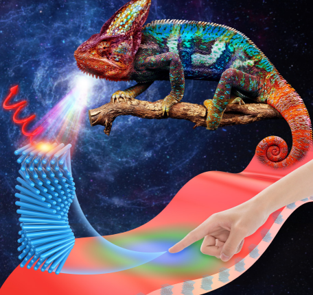 fd4b064c6eec4842990e4a16951fd079.png